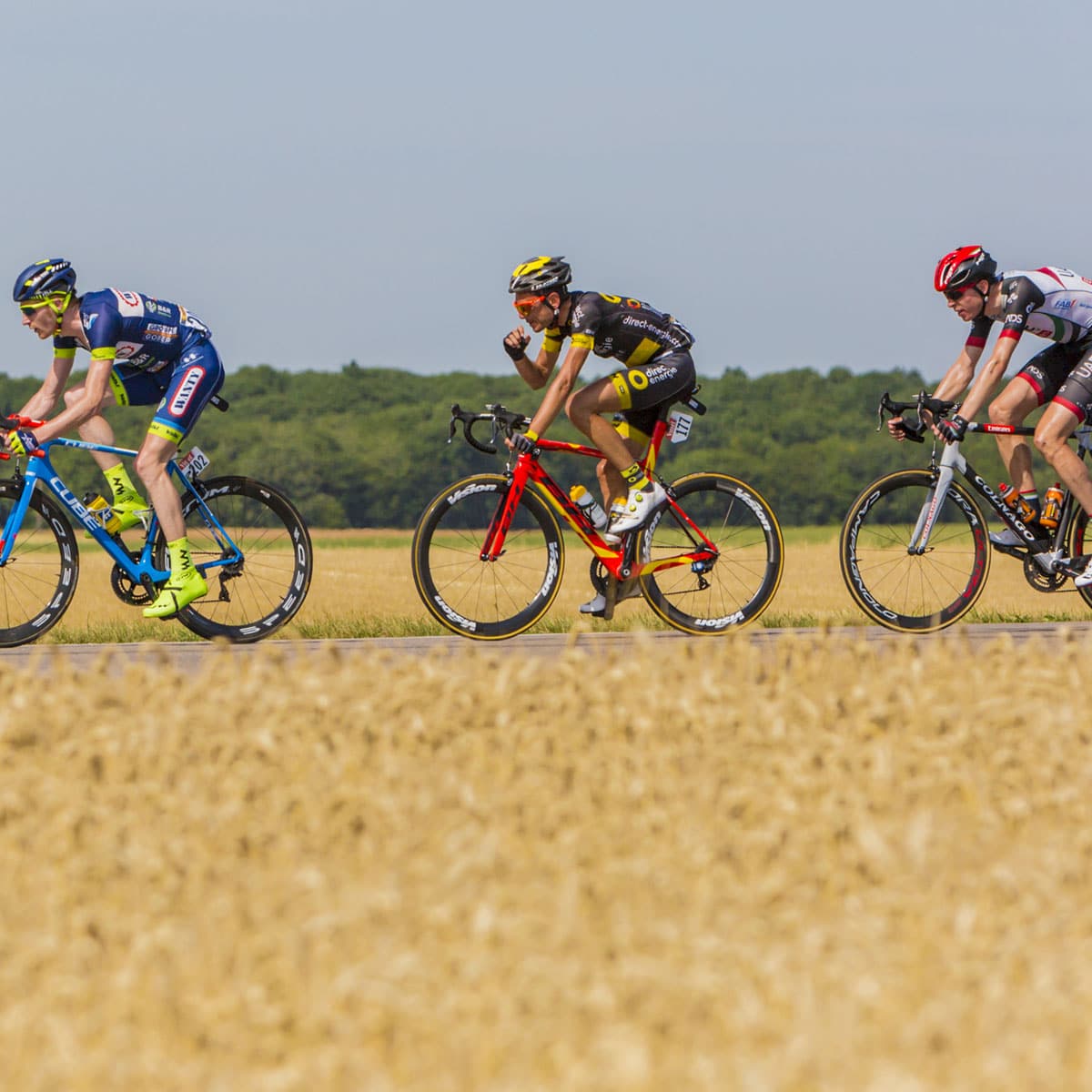 Three cyclists ride racing bikes on a rural road beside a wheat field, with trees and clear sky in the background. The cyclists wear colorful jerseys and helmets.