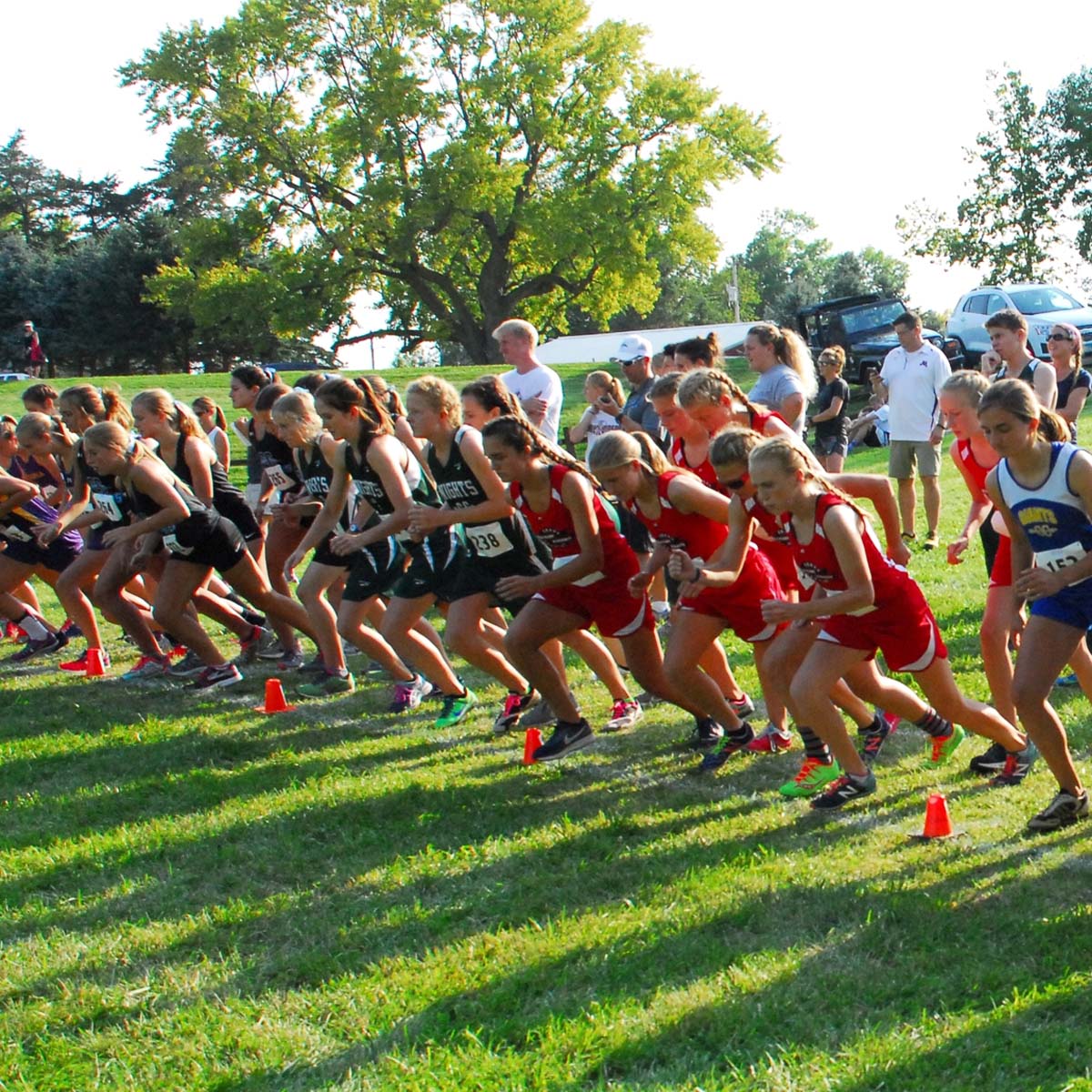 A group of high school girls in athletic uniforms start a cross country race on a grassy field, with trees, spectators, and sunlight in the background.