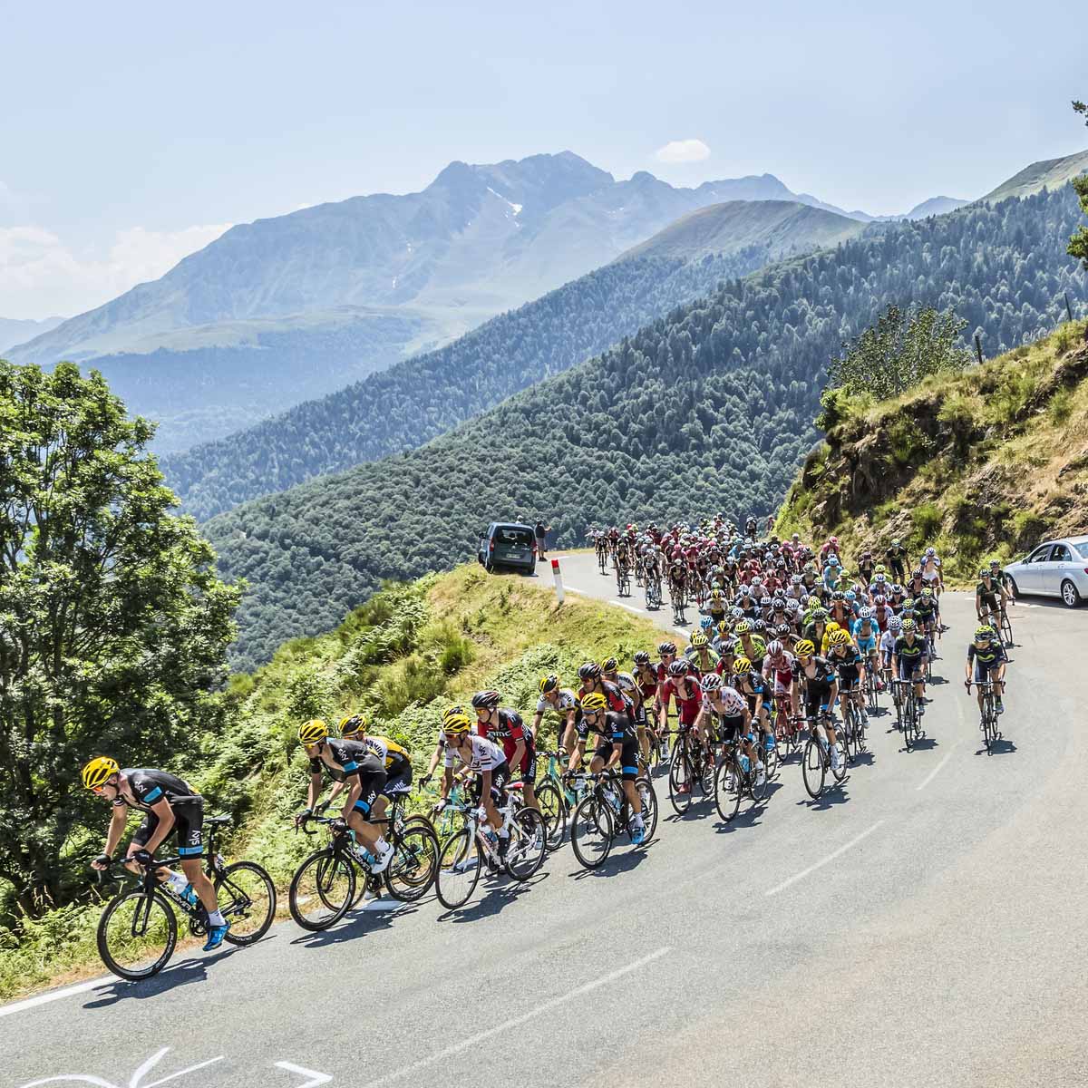 A large group of cyclists rides up a winding mountain road during a race, with lush green hills and tall mountains in the background under a clear sky. Cars follow the cyclists along the scenic route.