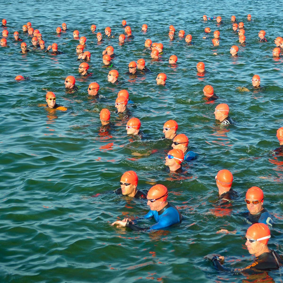 A large group of triathletes wearing orange swim caps and goggles gather in open water for an In-Water Start, preparing for a race. The water is calm, and the swimmers are spaced out, facing various directions.
