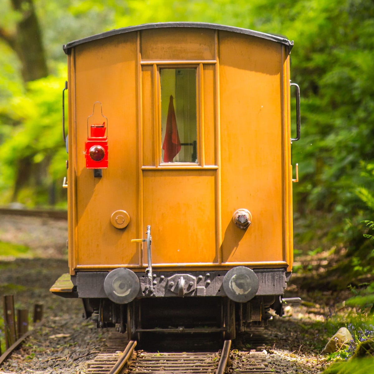 A yellow vintage train car sits on train tracks surrounded by lush green trees.