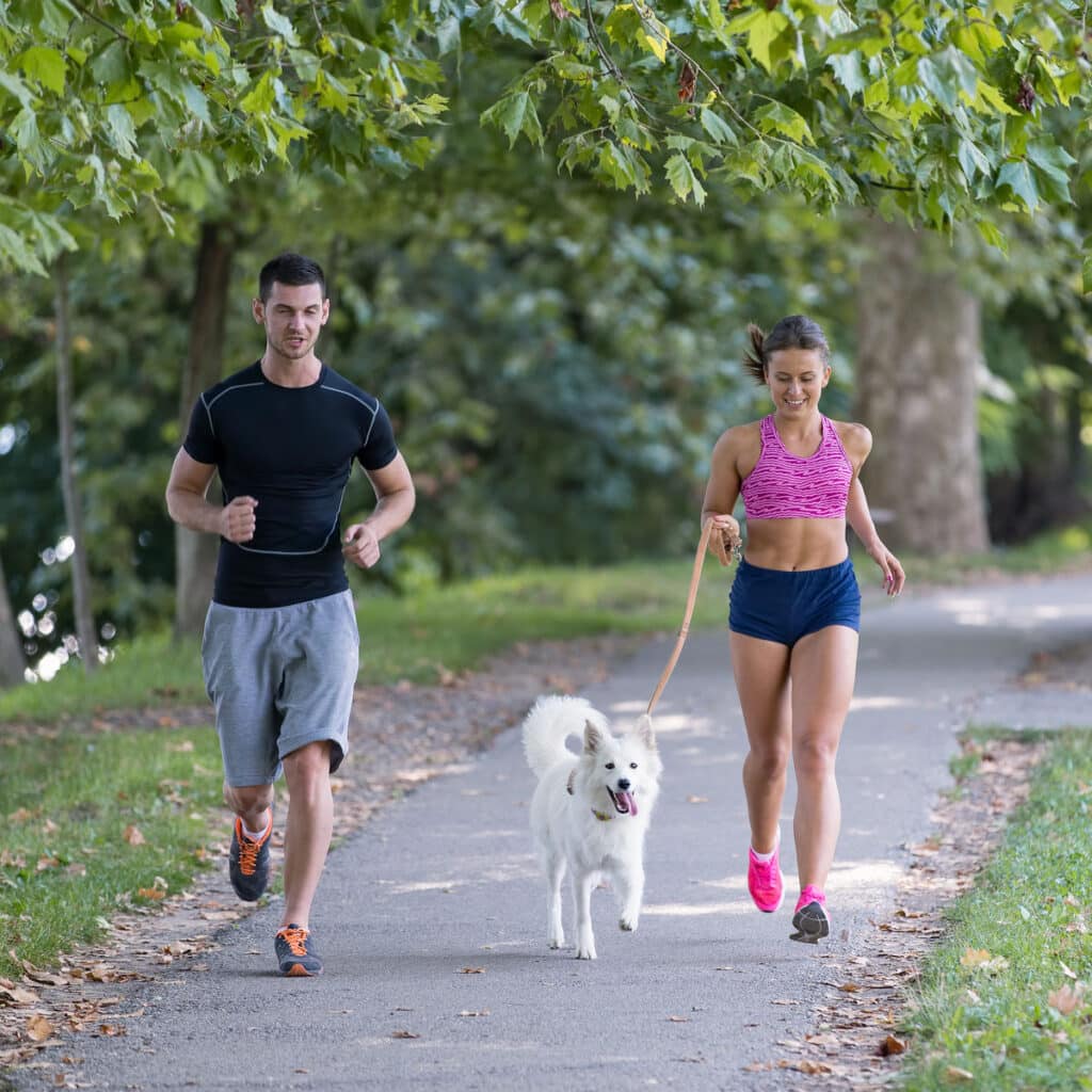A man and woman jog together in a green, leafy park as the woman holds the leash of a white dog. The image from the Enduropedia archive highlights an active but unstructured endurance lifestyle.