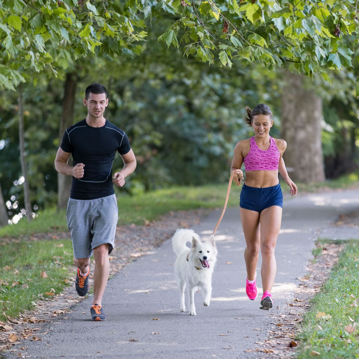 A man and woman jog together in a green, leafy park as the woman holds the leash of a white dog. The image from the Enduropedia archive highlights an active but unstructured endurance lifestyle.