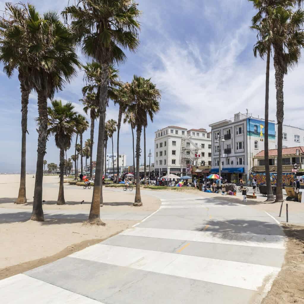 Palm trees line a beach path with buildings and people in the background.